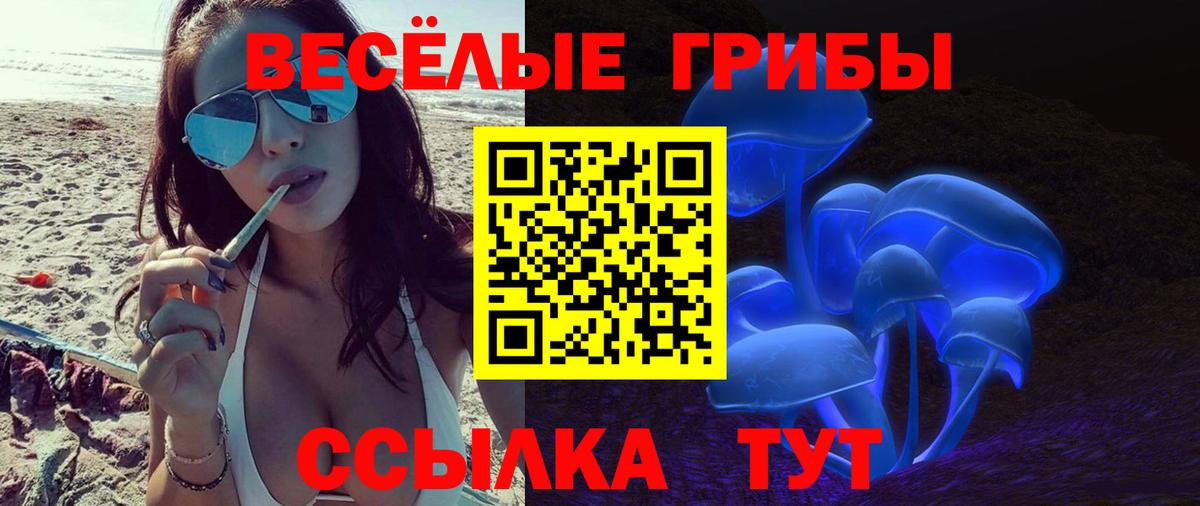 Псилоцибиновые грибы мухоморы Ачинск